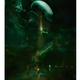 by Christopher Shy